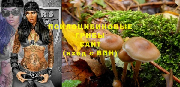 spice Беломорск