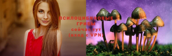 apvp Белоозёрский