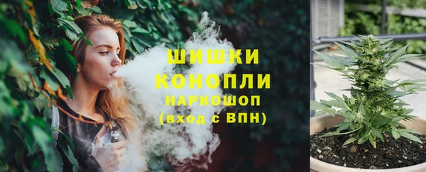 spice Беломорск